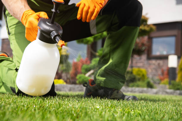 Best Emergency Pest Control  in Norwood Young America, MN