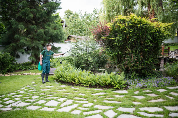 Best Residential Pest Control  in Norwood Young America, MN