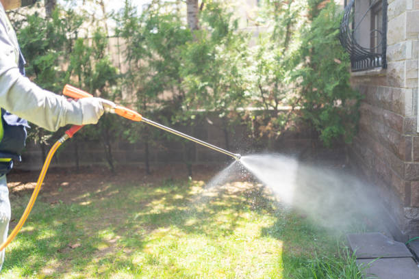 Reliable Norwood Young America, MN Pest Control Solutions